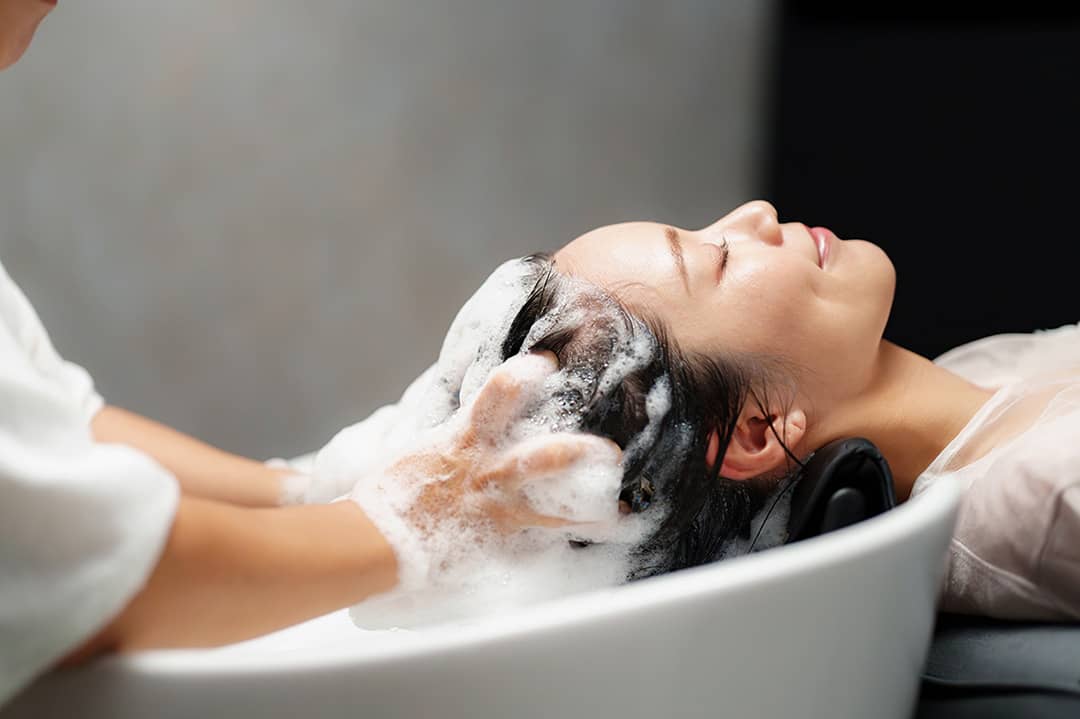 メニューのイメージの画像